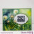 BLESSINGS BOX SUBSCRIPTION PLAN