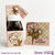 TREAT BOTTLES, QTY. 6 - *see note below TREAT BOTTLES, QTY. 6 - *see note below