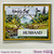 ENCHANTED FOREST A2 CARD FRONTS