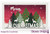 CHRISTMAS TREE BORDER LAYERING COMBO DIES