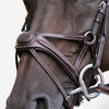 Padded Figure 8 Noseband
