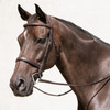 Traditional Hunter Bridle on horse