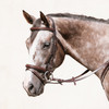 Galway Bridle Galway Bridle