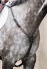 Hunting Breastplate with Elastic