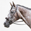 Hackamore Stabilizer