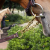 Pony Length Newmarket Split Chain Equine Shank