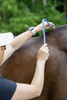 Saddle Fitting Curve