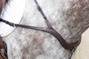 Performance Curve Breastplate