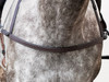 Willowdale Breastplate