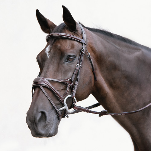 Padded Figure 8 Noseband 