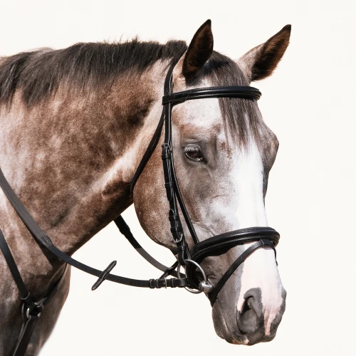 Dressage Bridle, Padded Noseband 
