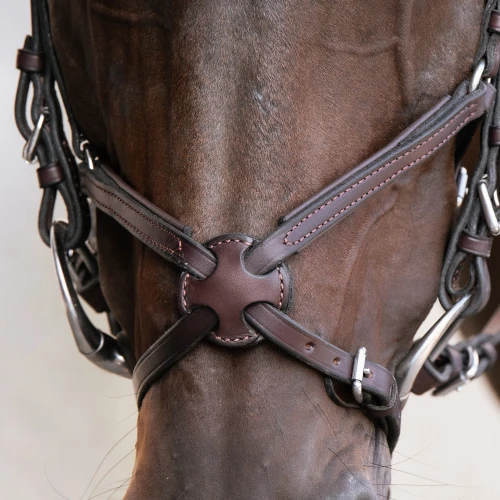 American Leather Bridle 
