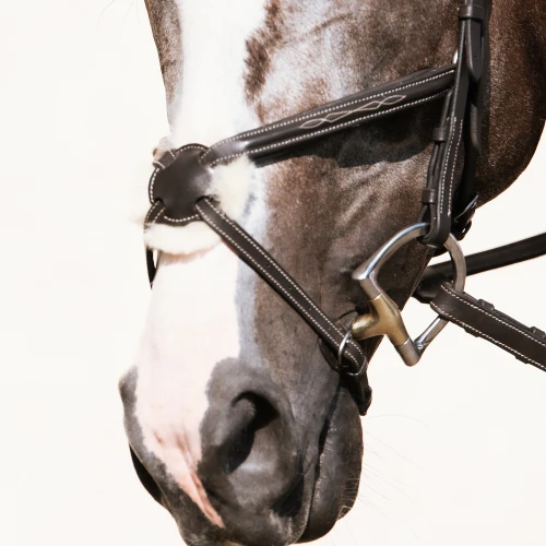 Figure 8 fleece noseband 