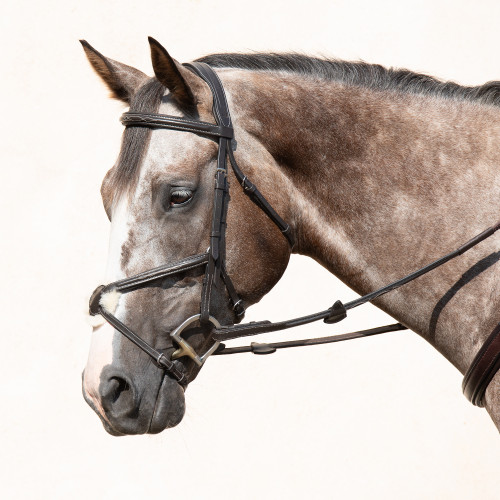 Stefania Figure 8 Bridle Stefania Figure 8 Bridle