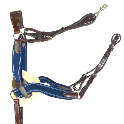 5-Way Blue Breastplate