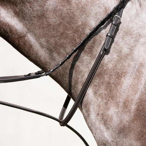 Argento Standing Martingale