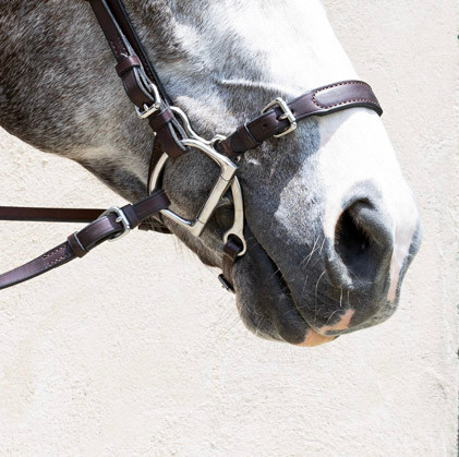 Adjustable Lever Noseband