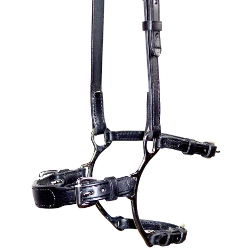 Adjustable Lever Noseband