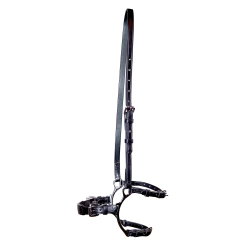 Adjustable Lever Noseband