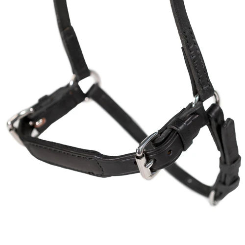 Padded Dropped Noseband 