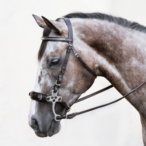 Stealth Hackamore