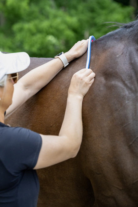 Saddle Fitting Curve