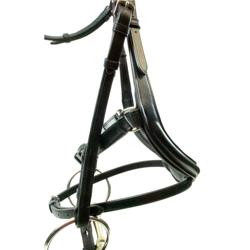 Black Anatomical Bridle with Curved Cheek Pieces 