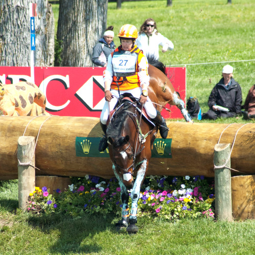 Eventing Grease on Horse