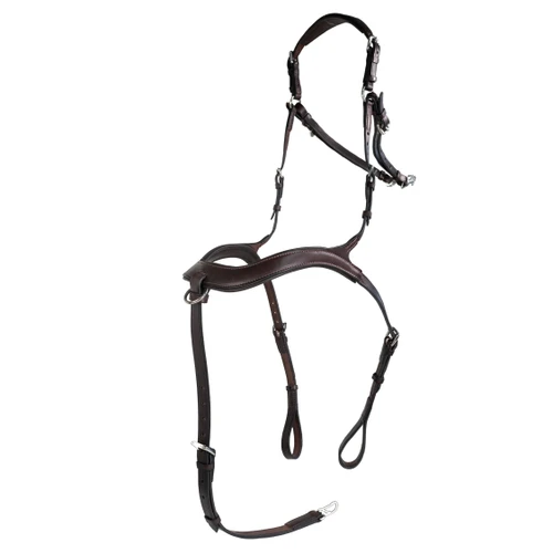 curved breastplate 
