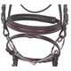 Galway Bridle