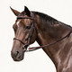 Ravenna Bridle