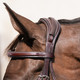 Lillian Bridle with Detachable Flash