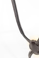 Stefania Round Raised Premium  Leather Figure 8 Cavesson