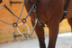 JP SofTTurn Martingale™