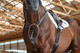 JP SofTTurn Martingale™