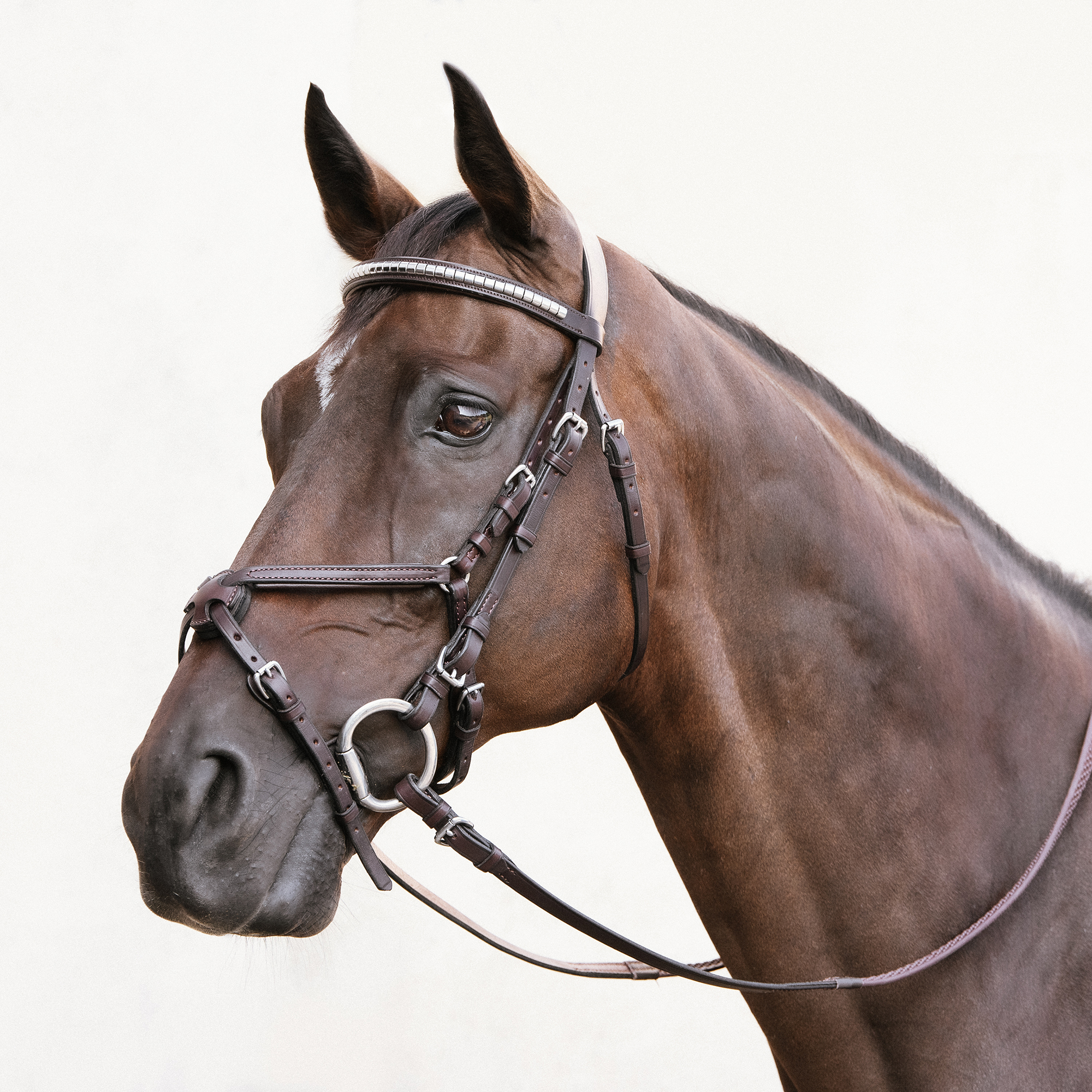 Bride Figure 8 Bobby’s English Tack Pour Cheval - Taille Full - Cuir - Neuf