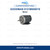 Illustrative visual of Goodman 0131M00501S Motor; product appearance may vary