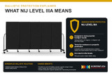 Ballistic Infographic