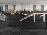Indoor agility course with ramps, cones, and platforms set up in a large open room.