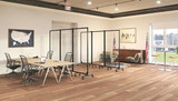 Balance Privacy and Transparency in Offices with Frosted Acrylic Dividers