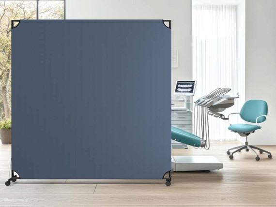 Solid gray wheeled divider panel positioned in a modern dental office.