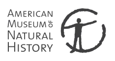 American Museum Of Natural History