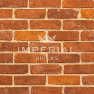 Regency Red Multi Regency Red Multi