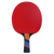 Back view of Cornilleau Excell 1000 racket highlighting flared concave handle design