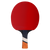 Back view of Cornilleau Perform 800 racket highlighting concave flared handle