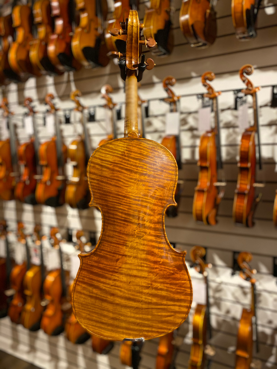 West Coast Strings Vitto Rossi Viola