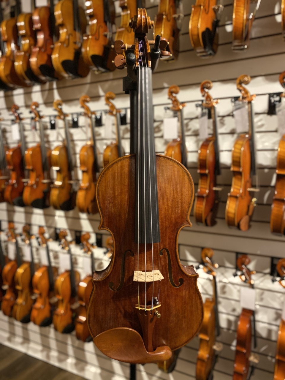 West Coast Strings Dario Giovanni Violin