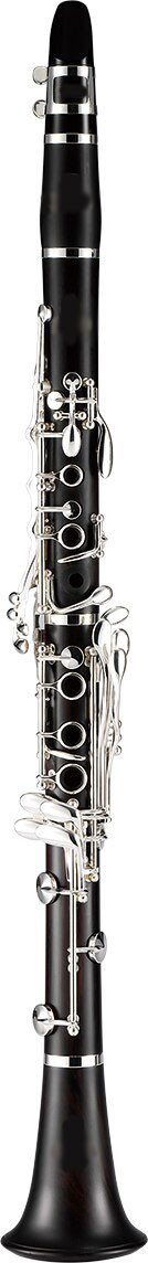 Rental Clarinet (from $24.99/month) - Milano Music Center