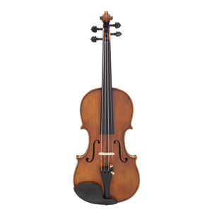 Amber Strings "Josephus Bosio" Violin