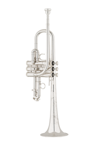 Shires Model 6MS8 E-Flat/D Trumpet Shires Model 6MS8 E-Flat/D Trumpet